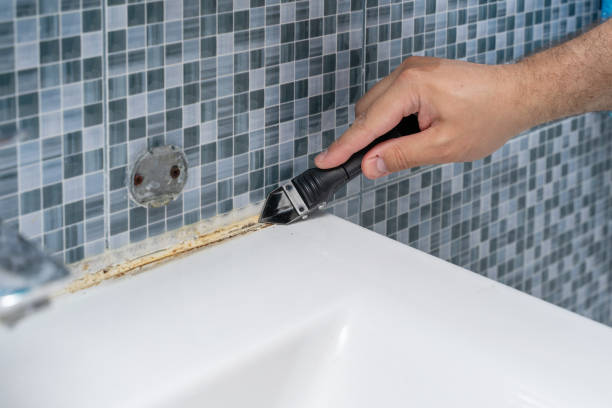 Home Mold Removal in River Falls, WI